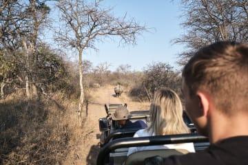 Ganztägige Safari im Krüger Nationalpark thumbnail
