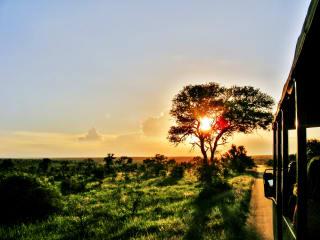 Sunset Safari mit Dinner in einem privaten Game Reserve thumbnail