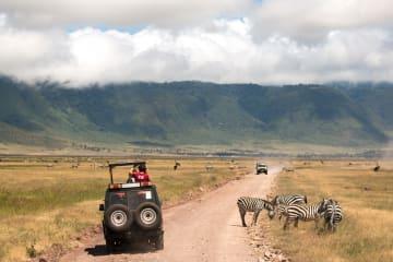 Ganztägige Safari am Ngorongoro Krater thumbnail