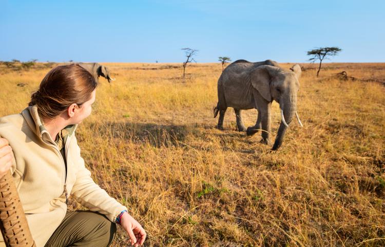 Walking Safari: Krüger hautnah
