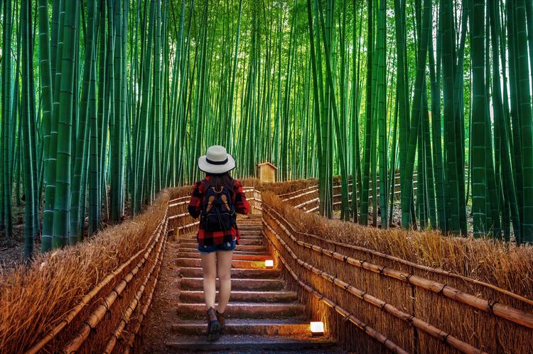Arashiyama: Welt aus Bambus! 