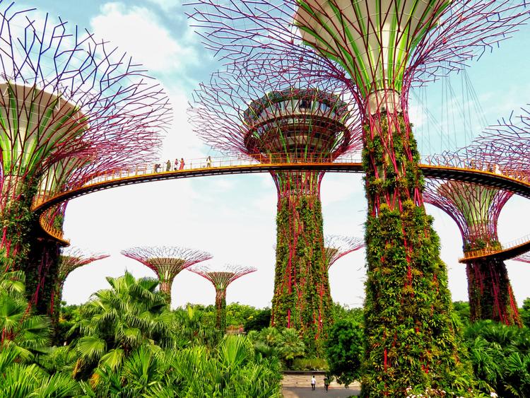 Gardens by the Bay: Supertrees