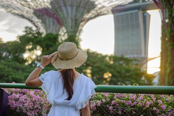 Ticket für die Gardens by the Bay in Singapur thumbnail